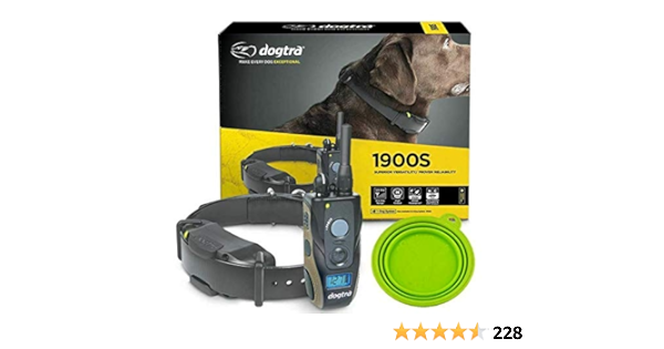 amazon dogtra