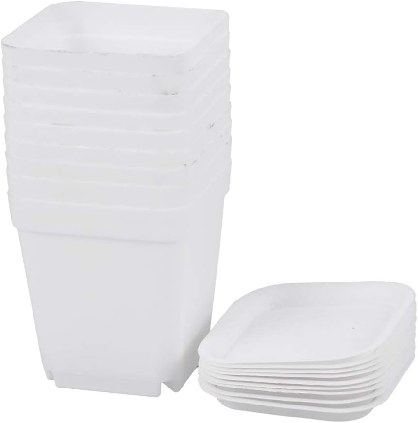 Yardwe 10 PCS Square Plastic Plant Pot with Saucer Mini Flower Pots Planters Succulent Pot for Garden Home Office Decoration 2.75 x 2.75 x 3.14 Inch (White)
