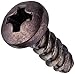 Small Parts 0204LPPBZ Steel Thread Rolling Screw for Plastic, Black Zinc Plated, Pan Head, Phillips Drive, #2-28 Thread Size, 1/4