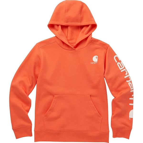 キドc-boy style (vol.481)carhartt Amazon.com: Carhartt Boys Long-Sleeve Hooded Graphic