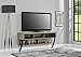 Ameriwood Home Altra Furniture Wall Mounted TV Stand, 60