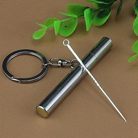 Orale Reinigung?Leichte zahnstocher?silber Multifunktions -Tasche Tragbare Zahnstocher Halter Wasserdichte