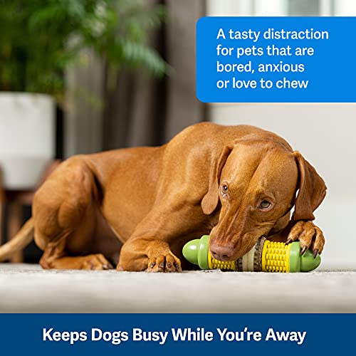 PetSafe Busy Buddy Cravin’ Corncob Dog Treat Ring Holding Chew Toy BPA Free Rubber Butter