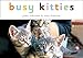 Busy Kitties (A Busy Book)