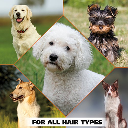 Wahl USA Pet Refresh Lavender Cleaning Wipes for All Dog Breeds Use