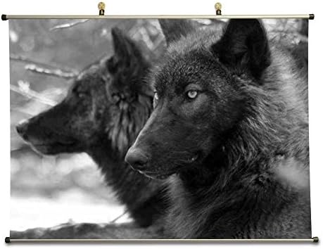 YISUMEI 60x80 Blanket Comfort Warmth Soft Plush Throw for Couch Black Wolf