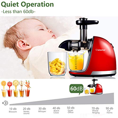 3 Masticating+AMZCHEF+Extractor+Professional+Vegetable