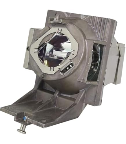 Amazon.com: 5J.JNL05.001 Original Genuine Replacement Lamp Bulb