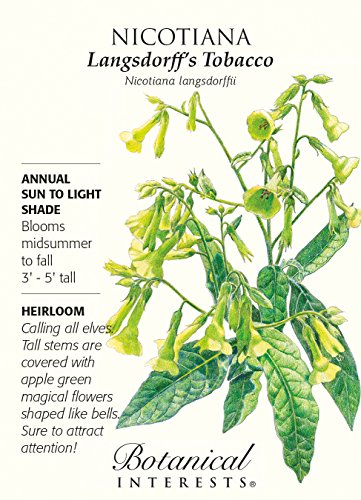 Nicotiana Langsdorff's Tobacco Seeds - .10 grams - Botanical Interests Nicotiana Langsdorff's Tobacco Seeds - .10 grams - Botanical Interests