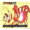 Terminal Spirit Disease