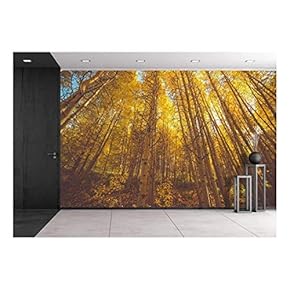 Golden Woods - Removable Wall Mural | Self-Adhesive Large Wallpaper - 66x96 inches