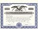 Black Corporate Kit - Binder, Slipcase, Minutes & Bylaws, Stock Certificates, Index Tabs, and Metal Corporate Seal Embosser