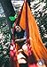 Premium Outdoor Hammock for Hiking - Camping - Backpacking & More! - FREE Hanging Straps - Parachute Nylon Fabric - Compact & Lightweight Set - Bag , Carabiners , Rope and Tree Straps Included!