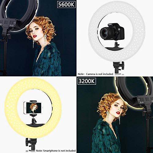 2 Dimmable+Adjustable+Lighting+Bluetooth+Carrying
