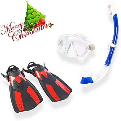 Snorkel Set Diving Mask,Dry Snorkel and Trek Fin with snorkeling Gear Bag (Red/Blue/Clear)