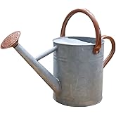 yourjoy Metal Watering Can, One Gallon Watering Cans Stainless Steel for Outdoor Indoor Garden Plants Watering (Zinc 1 Gallon)