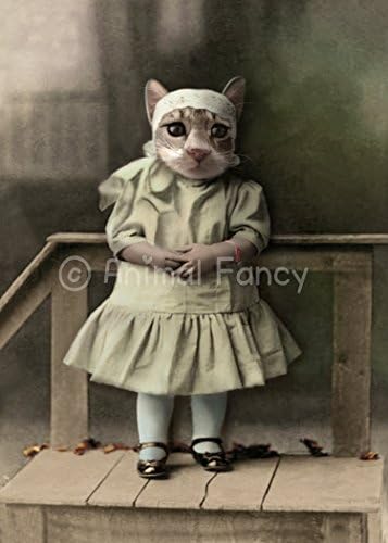 Cat Art Print - "Barbie"
