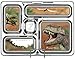 PlanetBox ROVER Eco-Friendly Stainless Steel Bento Lunch Box with 5 Compartments for Adults and Kids - Blue Carry Bag with Dinosaurs Magnets