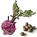 20 Kohlrabi Seed Balls- Herb & Vegetable Seed Bombs to make gardening fun and simple!