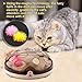 Interactive Funny Toys for Cat Electric Feather Teaser Cat Toy Exercise Chaser Training Cat Toy Rechargeable Maglev Bouncing Feathers Catching Game