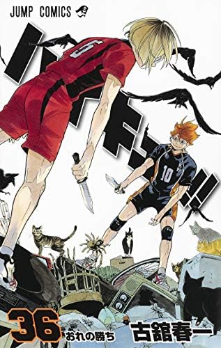 Haikyu!! Vol.36