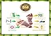 Cleansing Foot Pads (Pack of 20) By RoCaFutures: ALL NEW!! two wonderful scents, Lavender & Rose. Japanese Kinoki Sleep Pads, Natural Body Odor Reducer,Stress & Pain Relief, Bright & Clear Skin