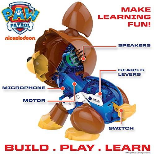Paw Patrol Chase Robotic BuildABot Paw Patrol Toys. Paw Patrol Toys