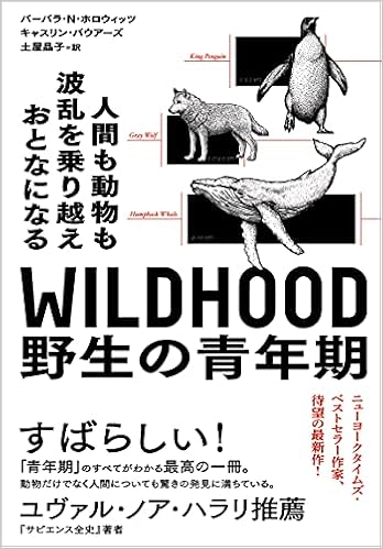 Wildhood ワイルドフッド 野生の青年期 人間も動物も波乱を乗り越えおとなになる バーバラ N ホロウィッツ キャスリン バウアーズ 土屋晶子 本 通販 Amazon