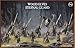 Eternal Guard Wood Elves Warhammer Games Workshop