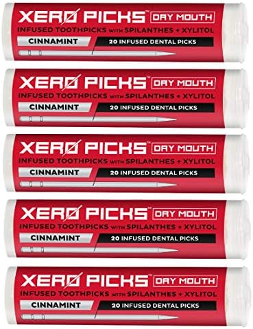 Xero Picks Dry Mouth - Infused Flavored Toothpicks for Long Lasting Fresh Breath & Dry Mouth Prevention - 100 Picks - 5 Pack - Cinnamint