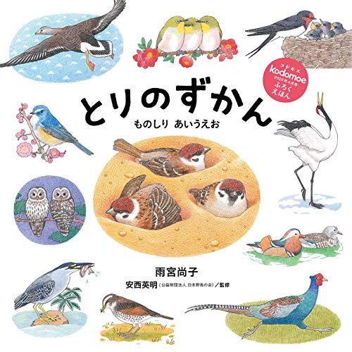 kodomoe 2020年4月号 画像 C