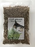 Cat Grass Wheat Seeds 1 LB(13,500+Seeds)-Easy Grow Greens for Your Pet's !