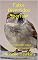Livro Fatos Divertidos Sparrow: Fatos Divertidos sobre Pássaros para Crianças #9