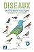 Oiseaux de France et d'Europe : 800 espèces, 100 chants d'oiseaux (1CD audio) by 