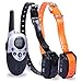 Dog Training Collar, Training Shock Collar With Remote 1100 Yard Electronic Shock Dog Collar For 2 Dogs by IB-SOUND