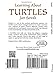 Learning About Turtles (Dover Little Activity Books: Animals)