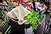 Green Home Habits Reusable Produce Bags - Organic Cotton Mesh - 5 Pack - Large Size for Grocery Shopping - With Convenient Muslin Carry Bag