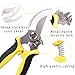 Ginbel Direct 3 Pack Gardening Pruner Shears Stainless Steel Blades Garden Cutter Clippers Pruning Hand Tools Garden Scissors Kitthumb 1