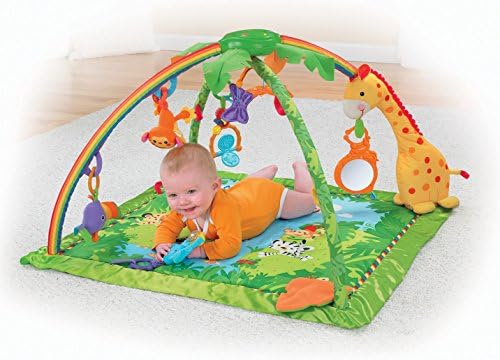 fisher price deluxe baby gym