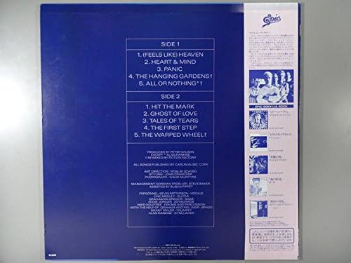 フィールズ ライク ヘヴン ｌｐレコード 12inch