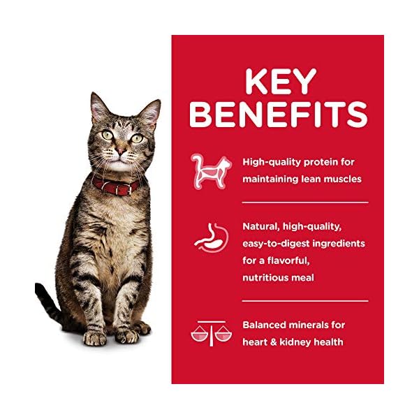 Hill’s Science Diet Wet Cat Food, Adult, Minced Savory Recipe Variety