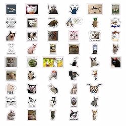 BulbaCraft 100Pcs Cat Meme Stickers - Funny Cat