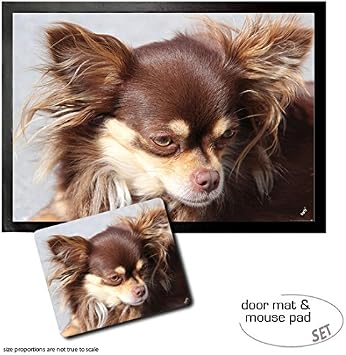 Amazon Com 1art1 Dogs Brown Long Haired Chihuahua Dog Door Mat