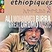 Ethiopiques 28: Great Oromo Music