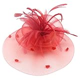 Fascinator Cocktail Hat Feather Net Hair Clip Pillbox Hat for Women