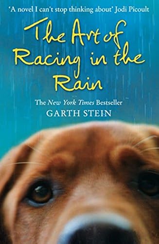 Download Art Of Racing In The Rain PDF