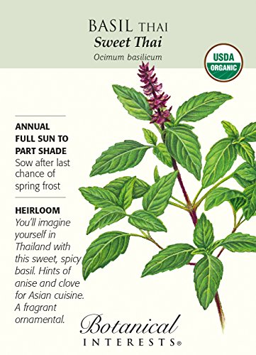 Organic Sweet Thai Basil Seeds - 300 mg