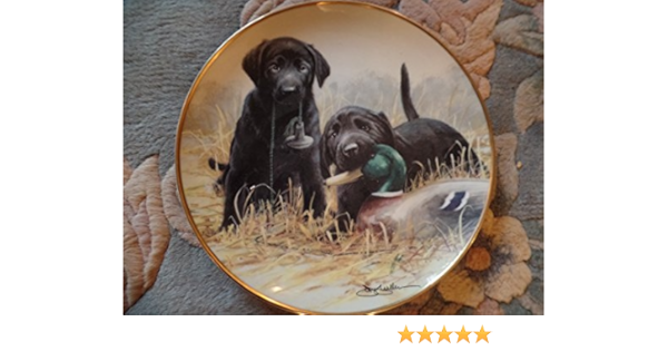 franklin mint labrador plates