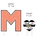 Big Dot of Happiness Best Mom Ever - Yard Sign Outdoor Lawn Decorations - Happy Mother's Day Yard Signs - Mom