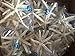 Nautical Beach Decor Extra Large 10 Pack REAL White Finger Starfish Wedding Decor 6-8 inch - Sea Stars (6-8 inch)